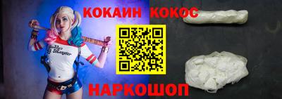 гашик Кингисепп