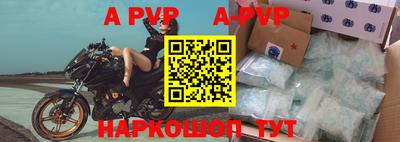 гашик Кингисепп