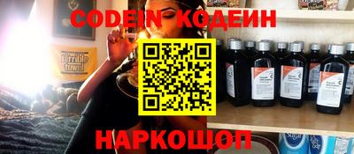 гашик Кингисепп