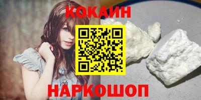гашик Кингисепп