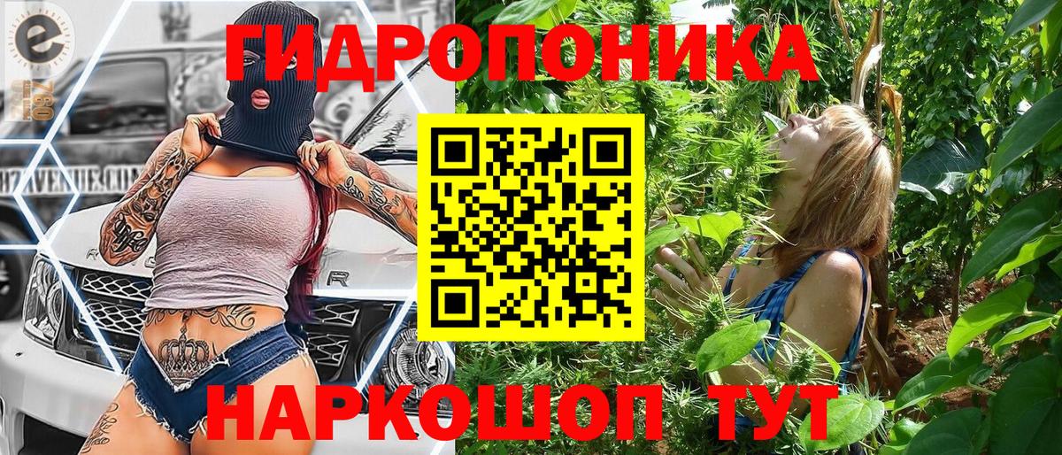 Семилуки  Бошки Шишки семена  Каннабис сатива  Канабис White Widow  Конопля VHQ  Вход с VPN 